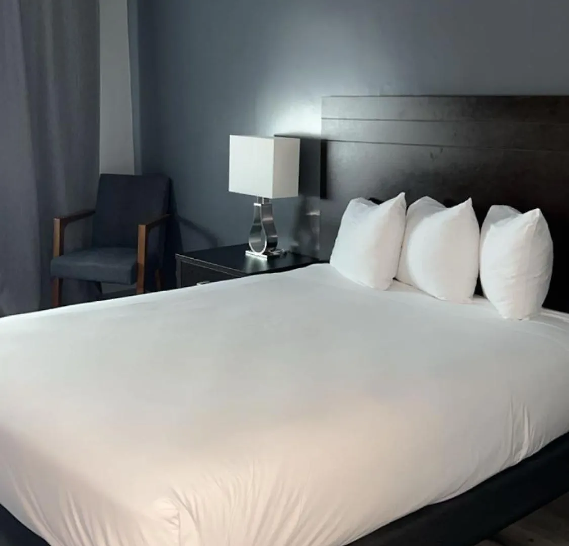 ***  Hotel Newstar Montreal Canada